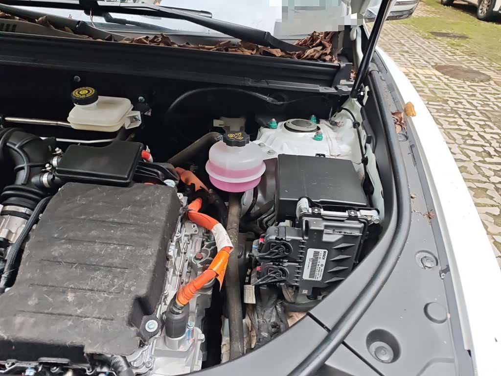 BYD Song, 2024 23