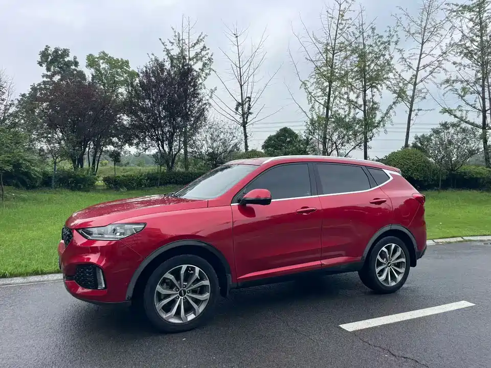 Weipai VV6