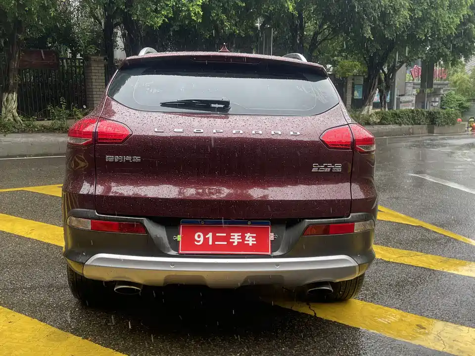 Leopaard Cheetah CS10