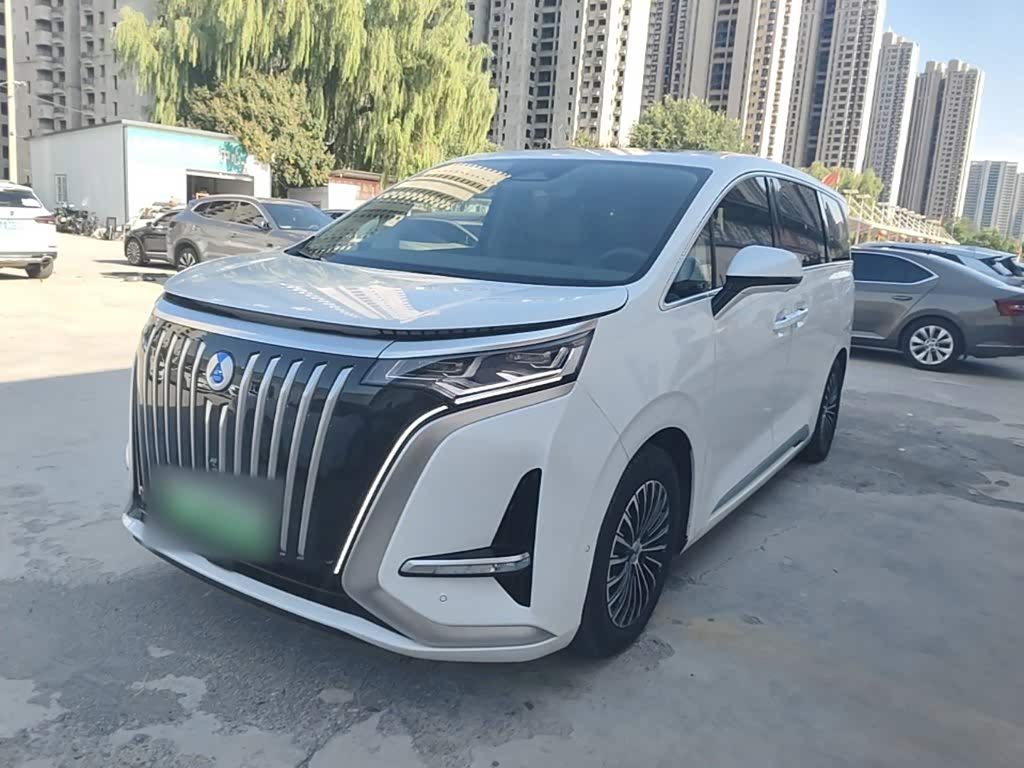 Denza D9