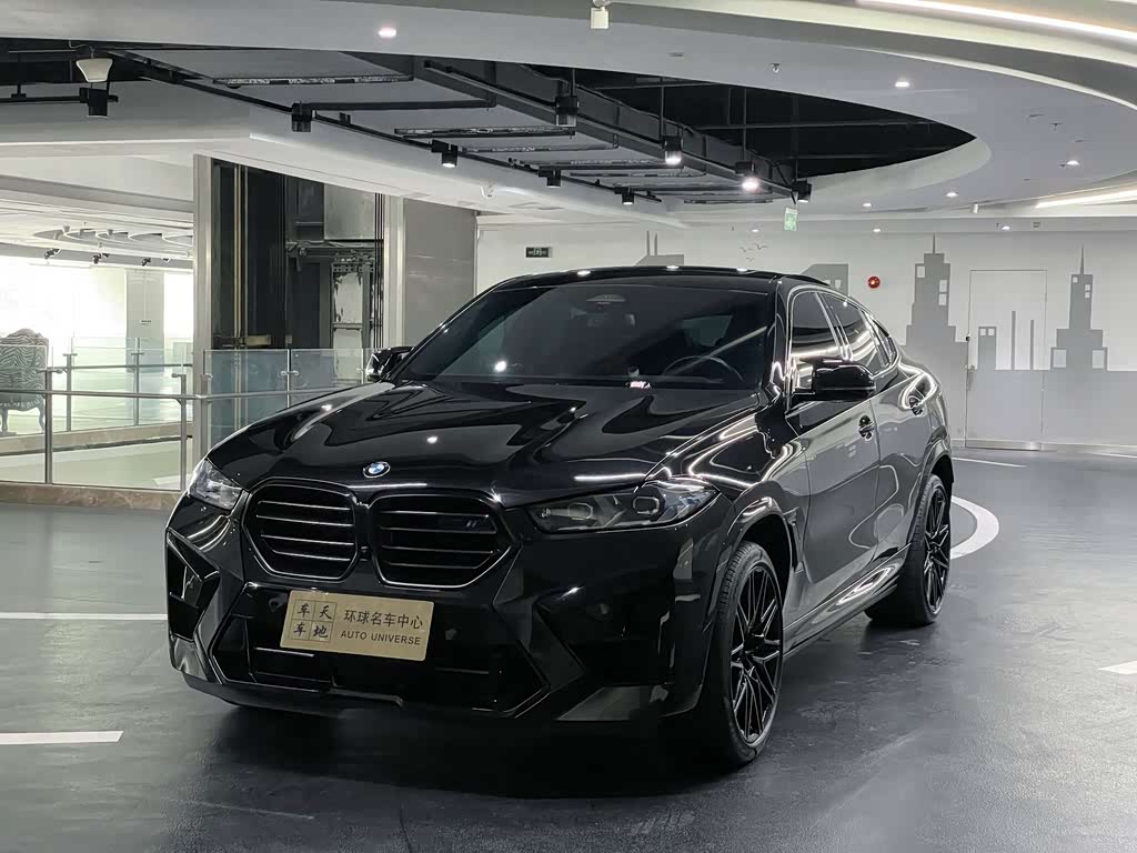 BMW X6 M