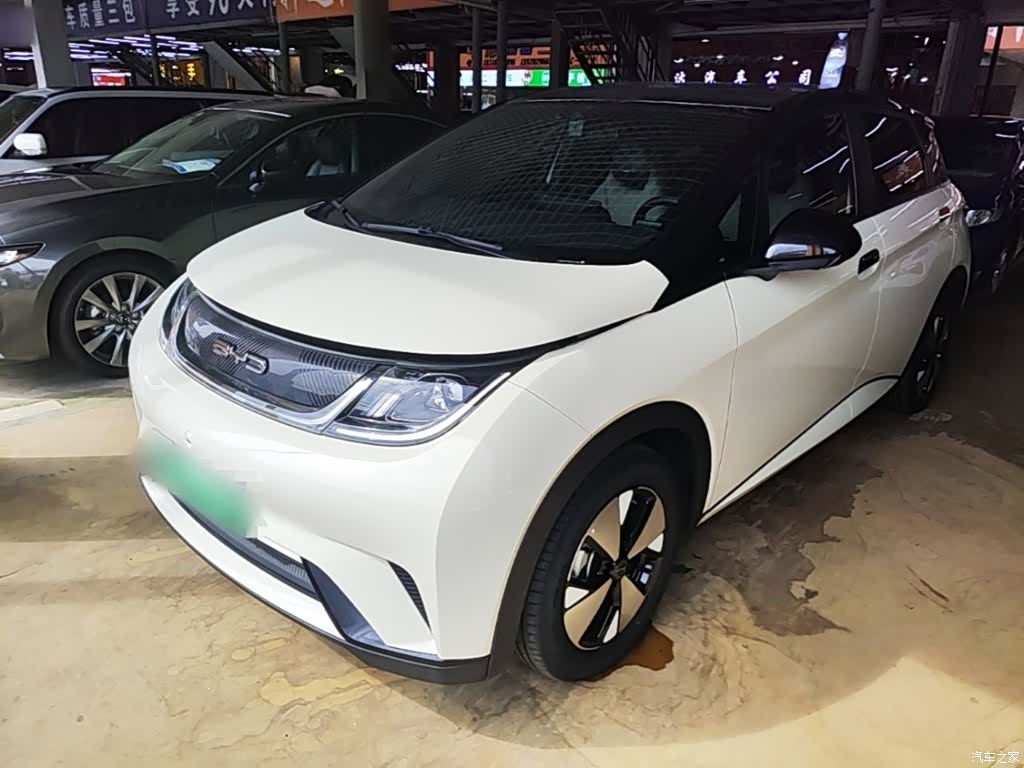 BYD Dolphin, 2023 1
