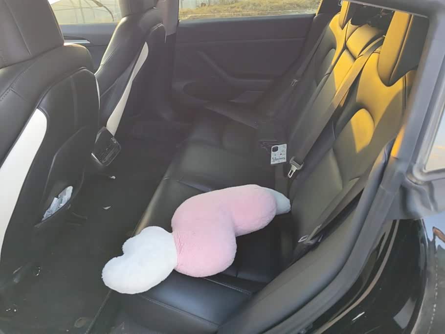 Tesla Model 3 Tesla Model 3