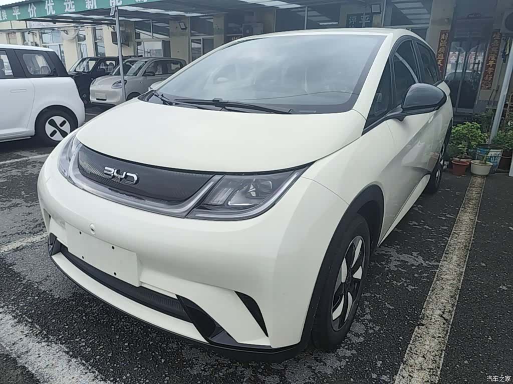 BYD Dolphin, 2026 2