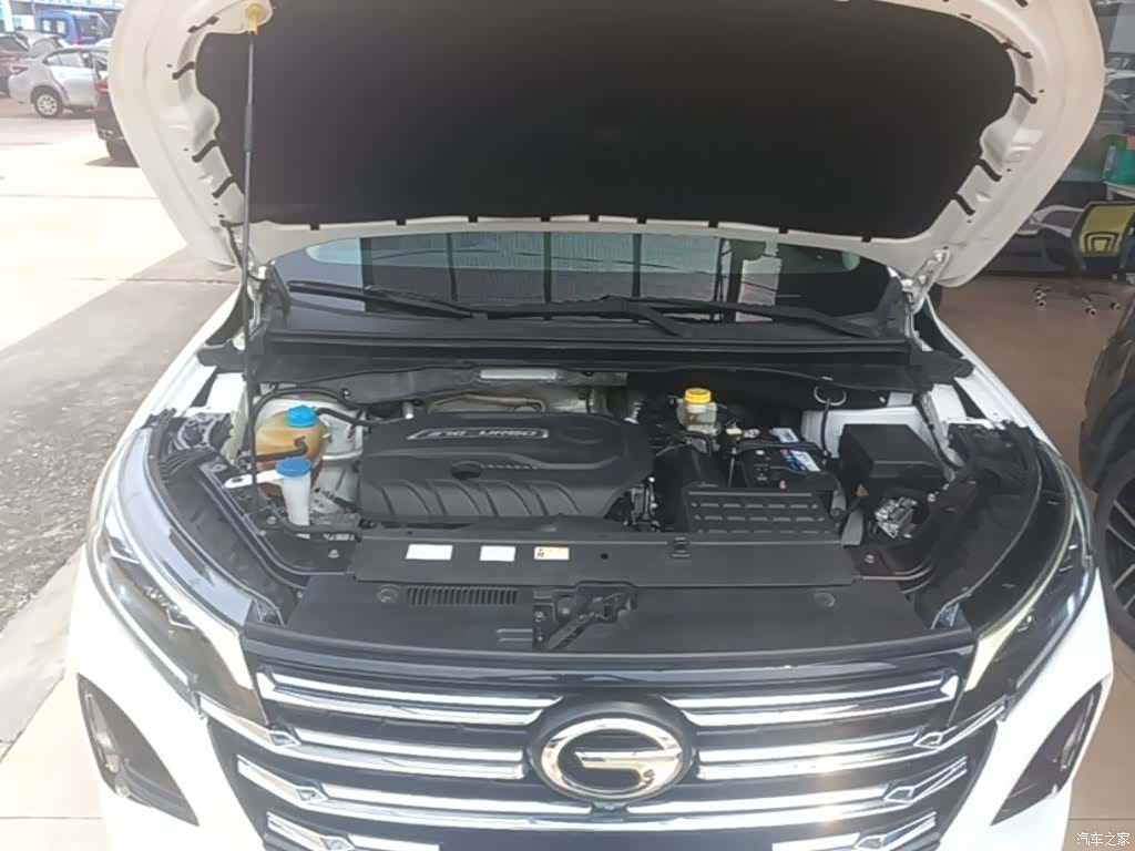 GAC GS4, 2021 20