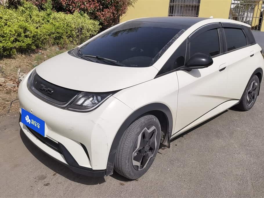 BYD dolphin