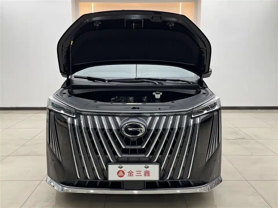 Trumpchi Trumpchi M8