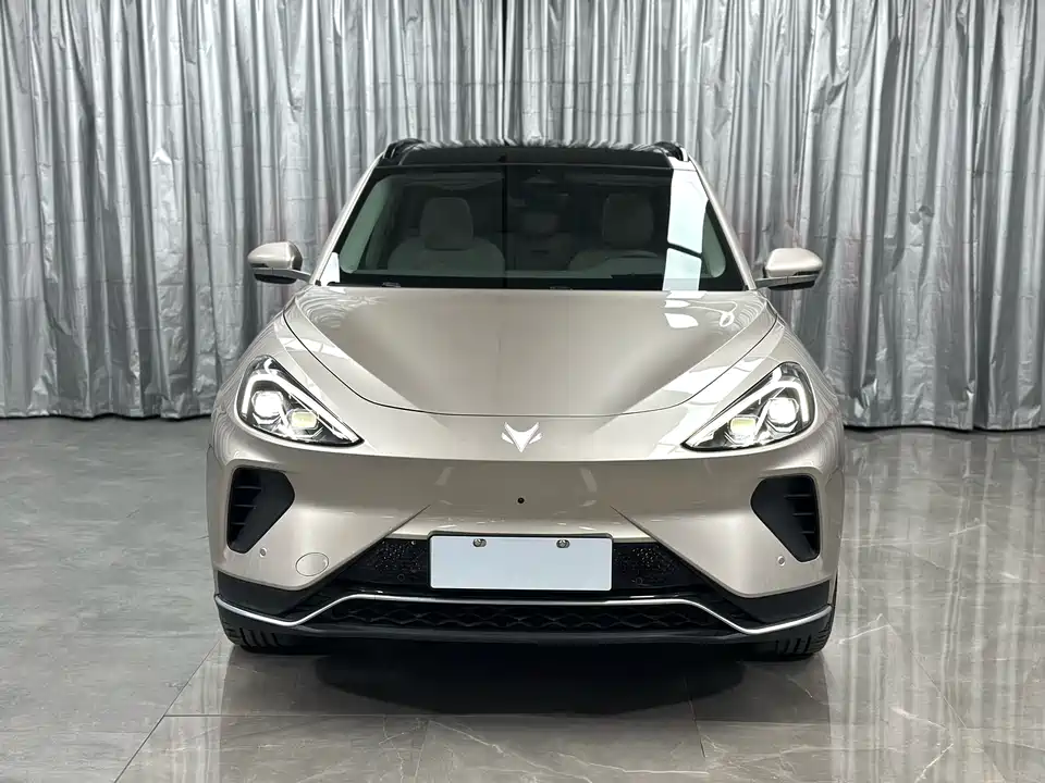 ARCFOX Polar Fox Alpha T6