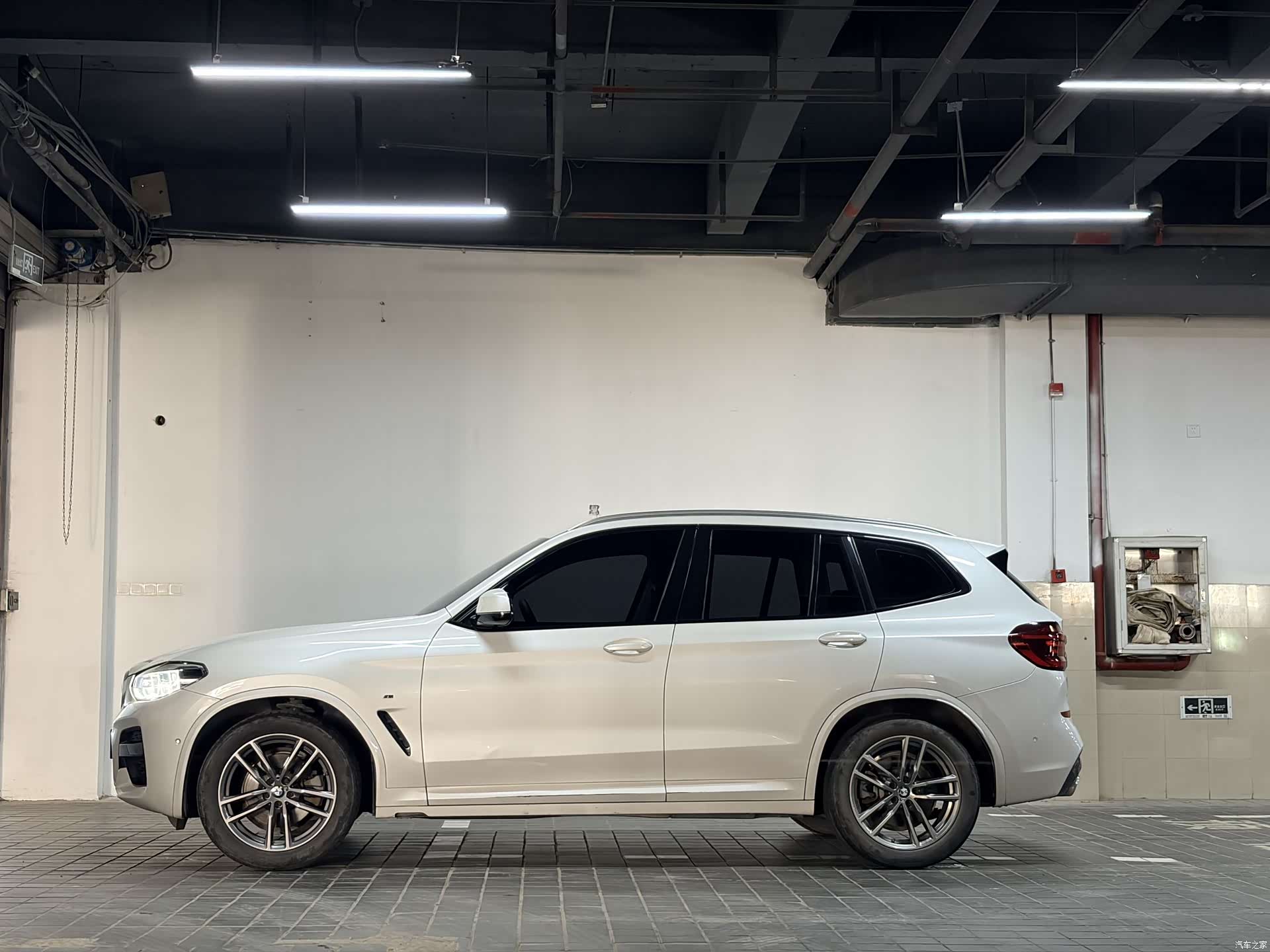 BMW X3, 2020 все фото