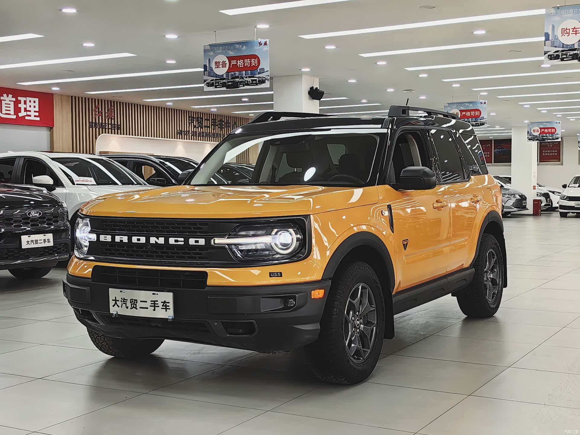 BroncoLieMa Bronco