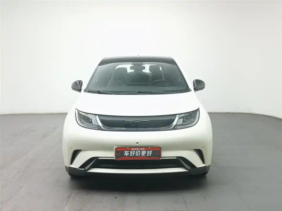 BYD dolphin