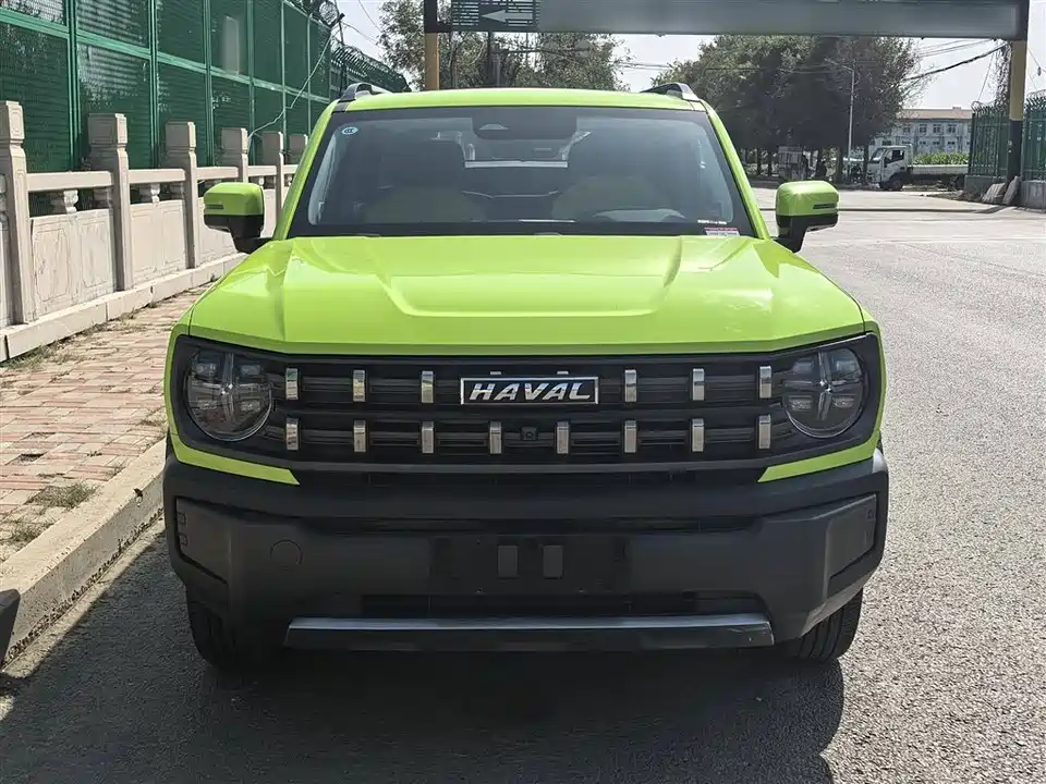 Haval Cool dog
