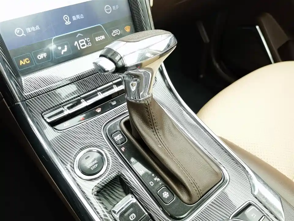 Leopaard Cheetah CS9