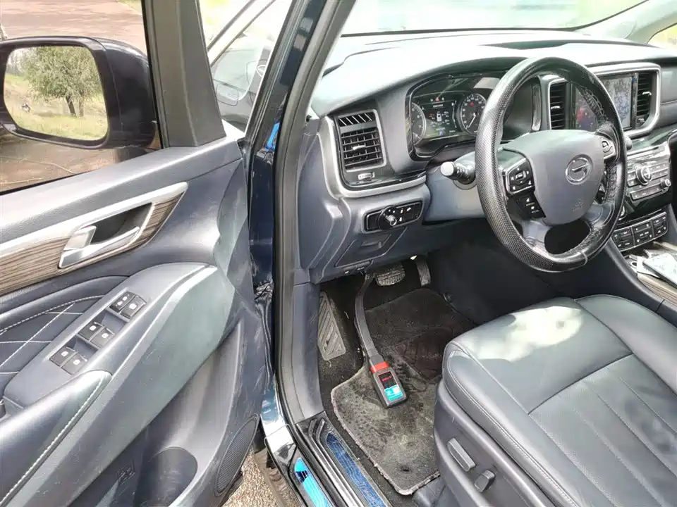 Trumpchi Trumpchi M8