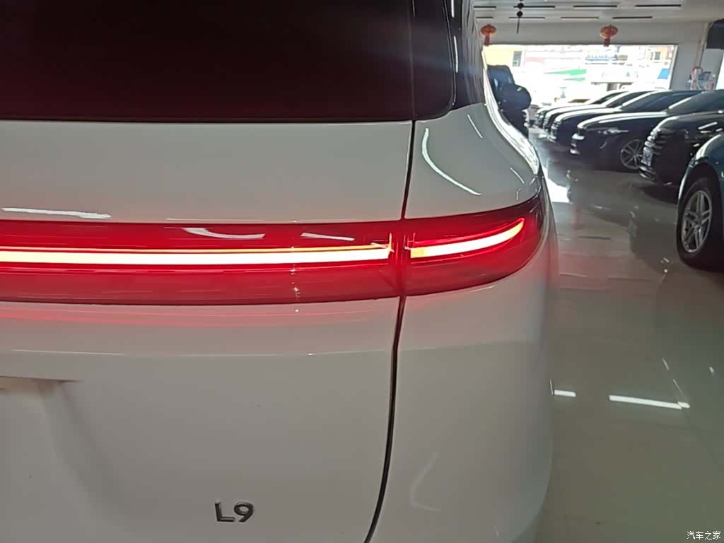 Li Auto L9, 2024 8