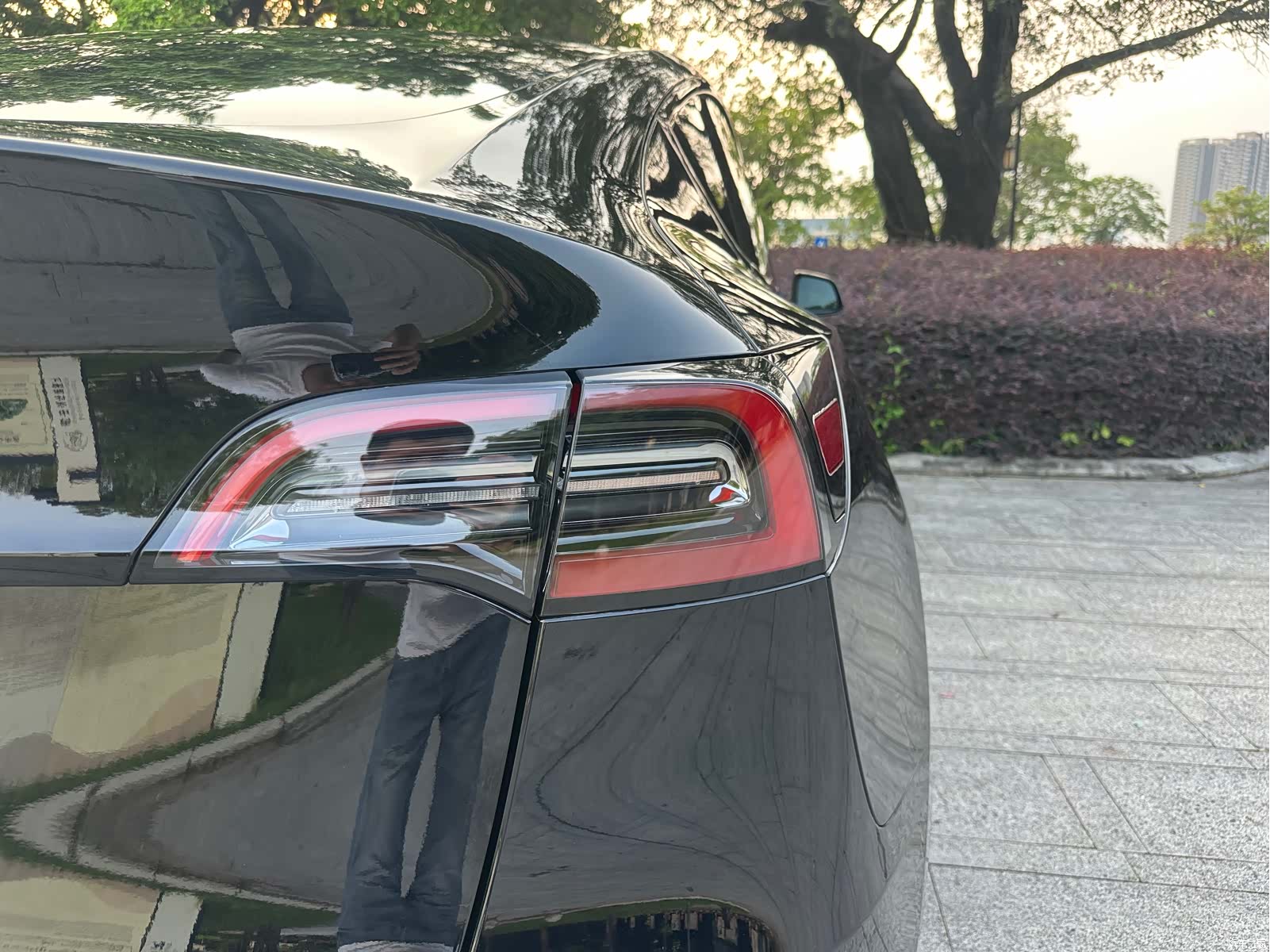 Tesla Model Y, 2024 9