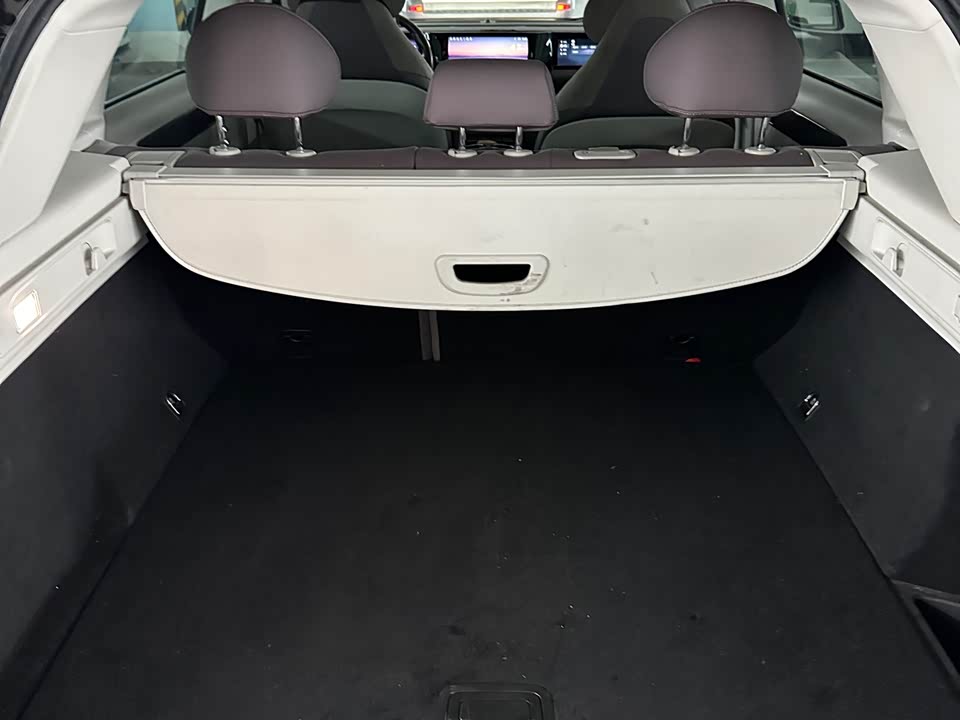 Leapmotor C11 Leapmotor C11