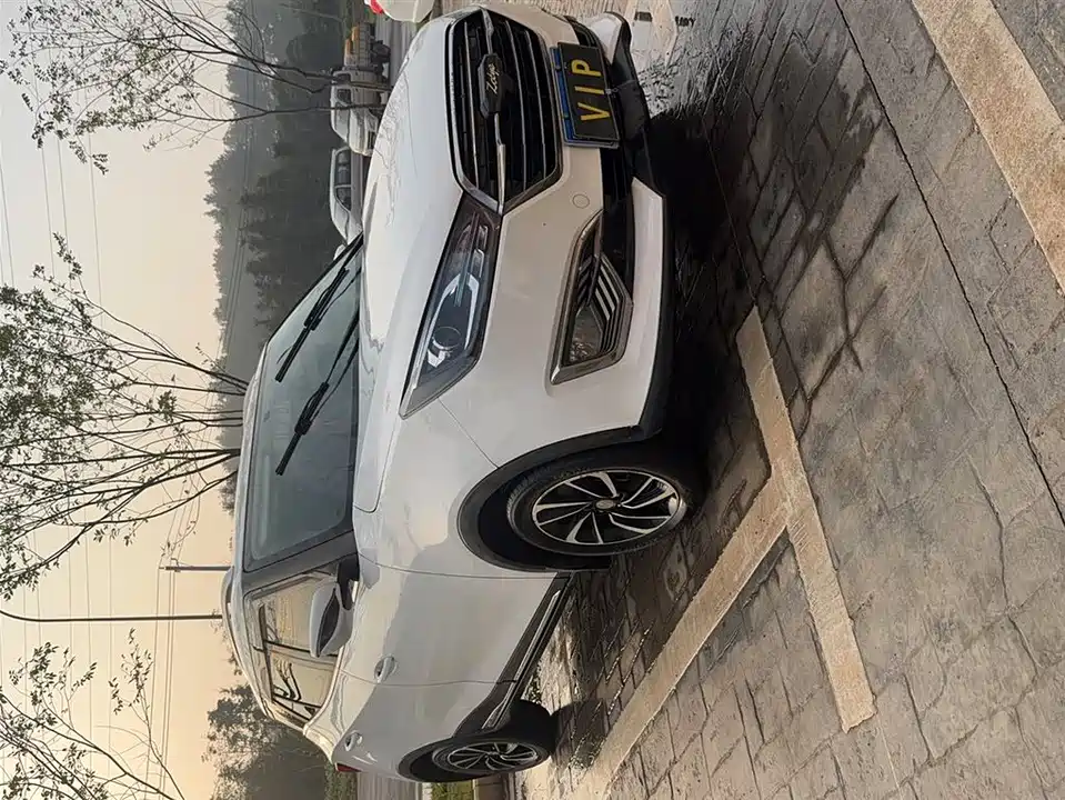 Zotye T300