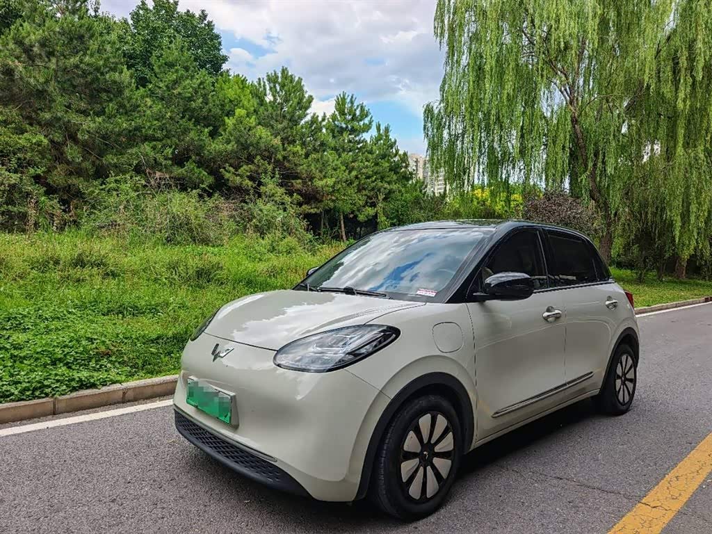 Wuling Binguo