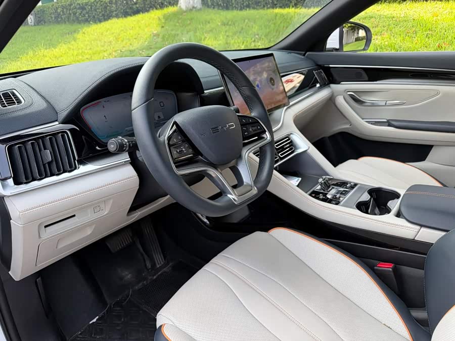 BYD Song PLUS New Energy 2024, фото 7