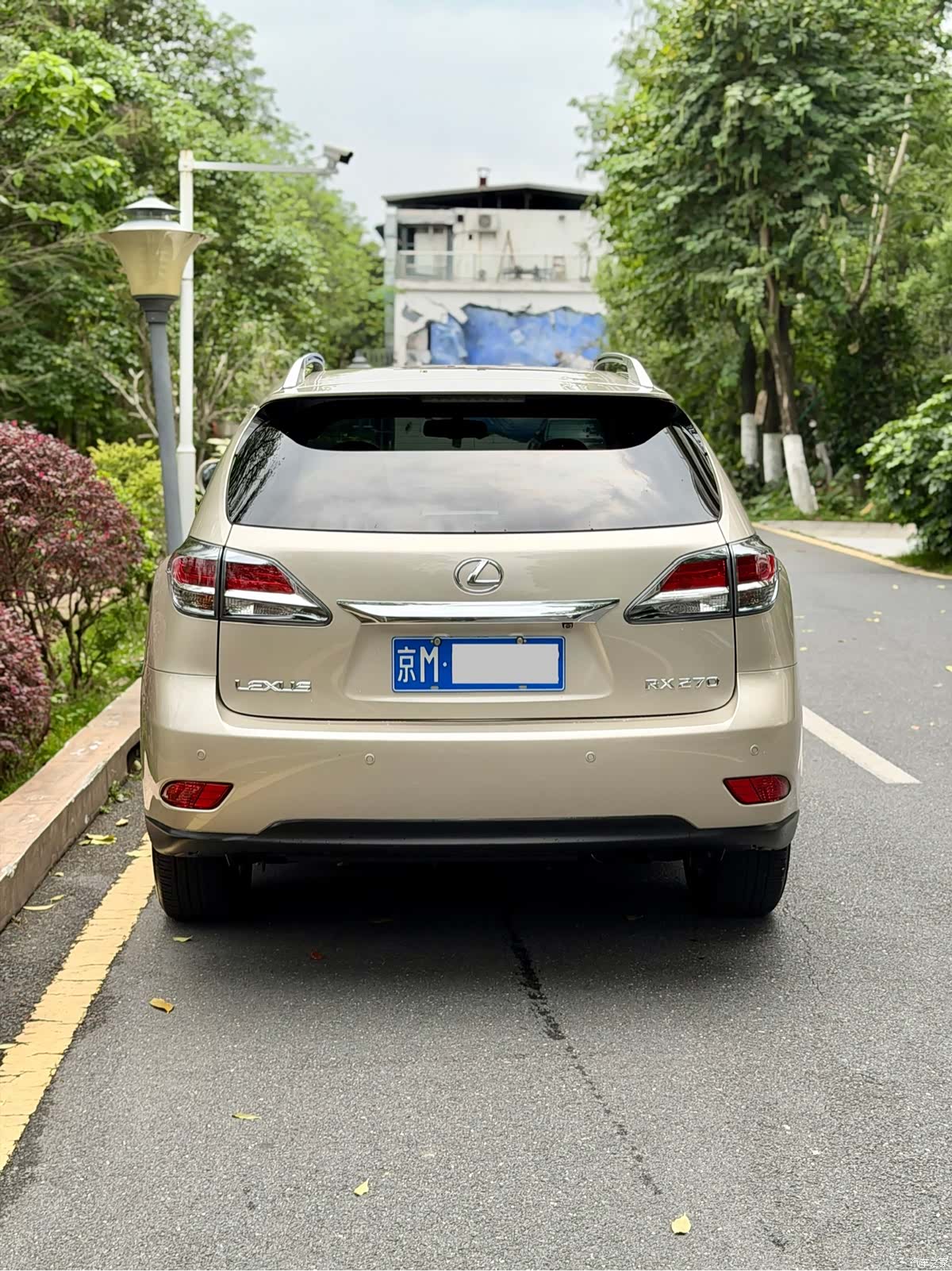 Lexus RX, 2013 все фото