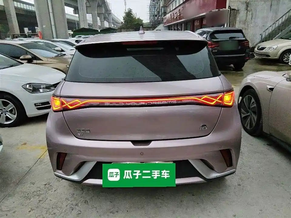 BYD dolphin