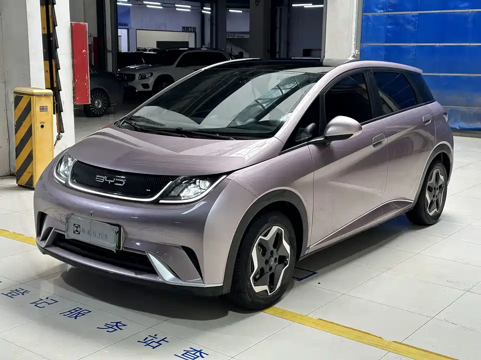 BYD dolphin
