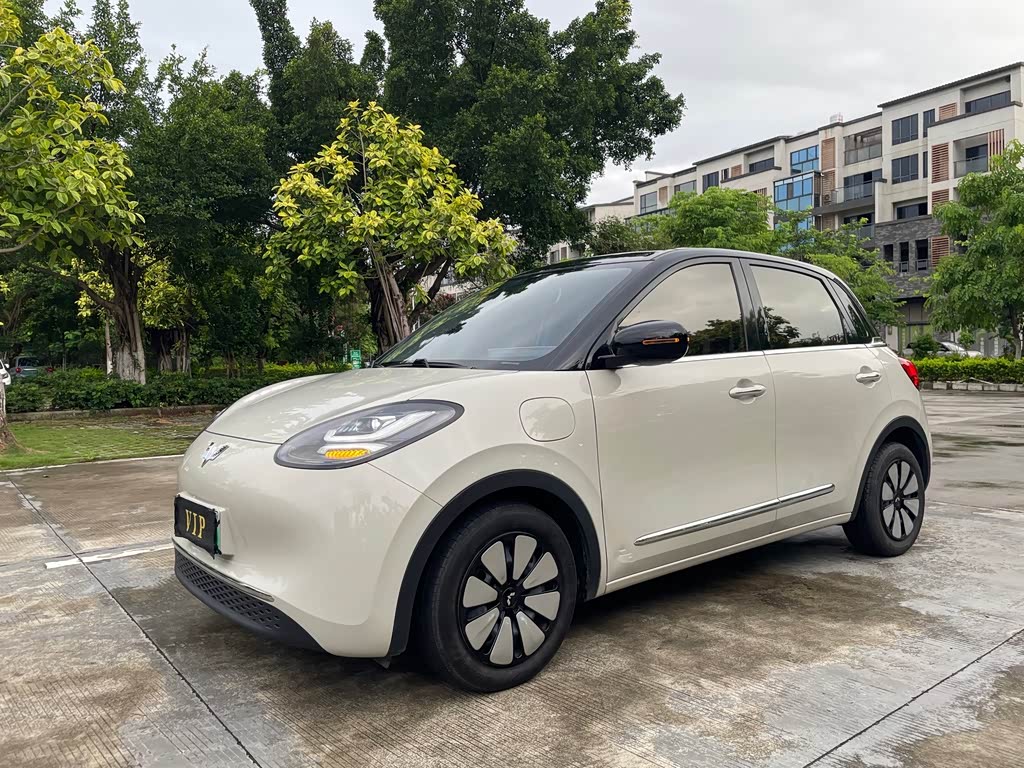 Wuling Binguo