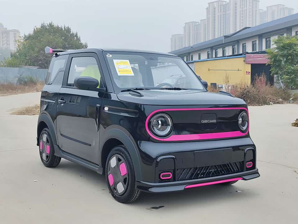 Geely Galaxy panda