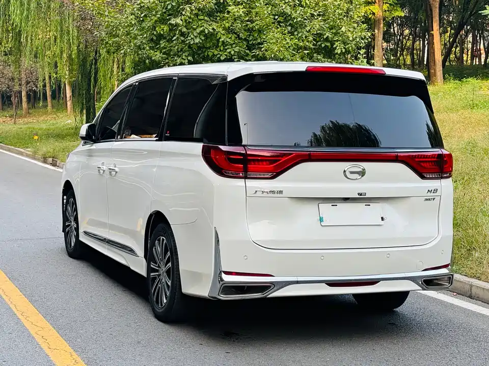 Trumpchi Trumpchi M8