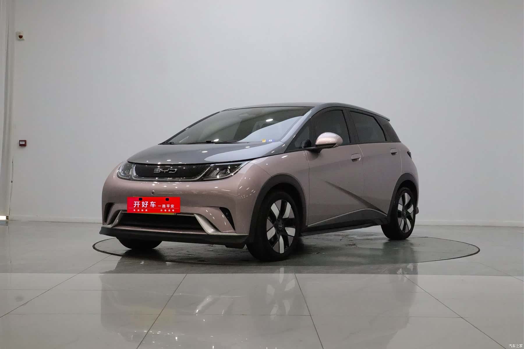 BYD Dolphin, 2022 1