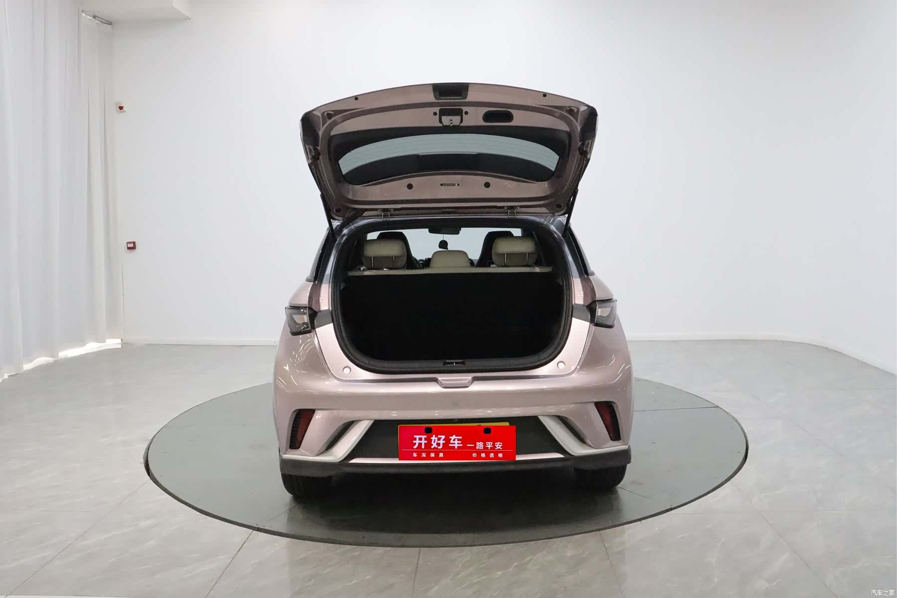 BYD Dolphin, 2022 7