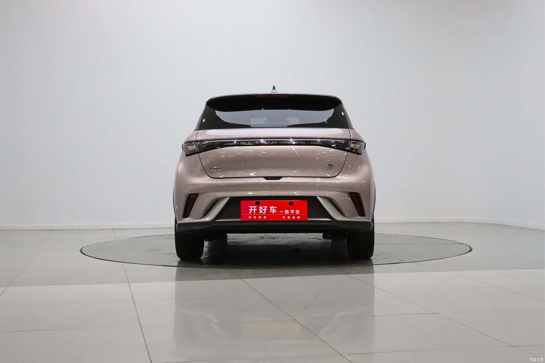 BYD Dolphin, 2022 4