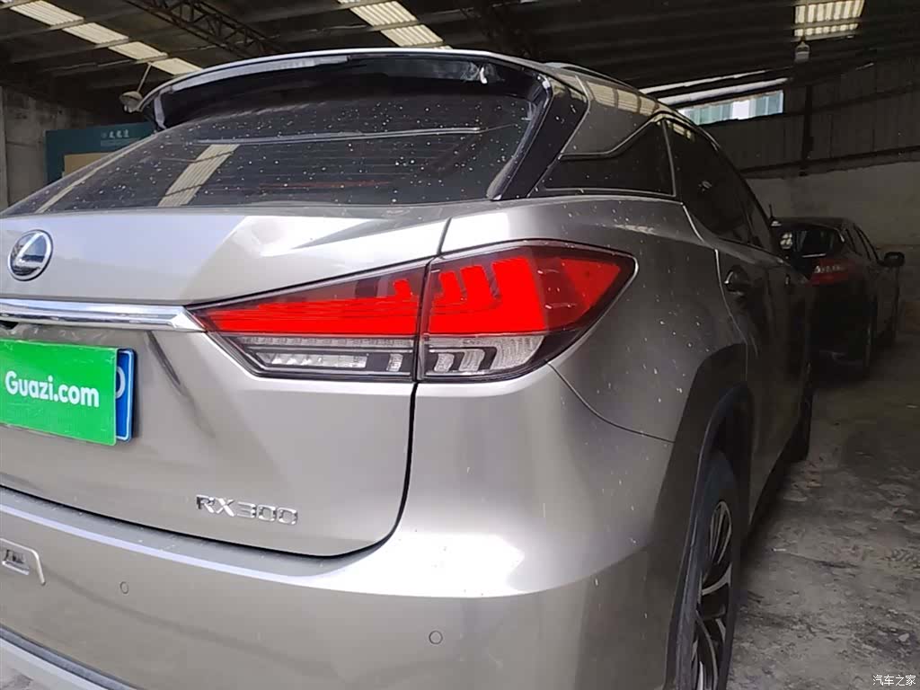 Lexus RX, 2020 8