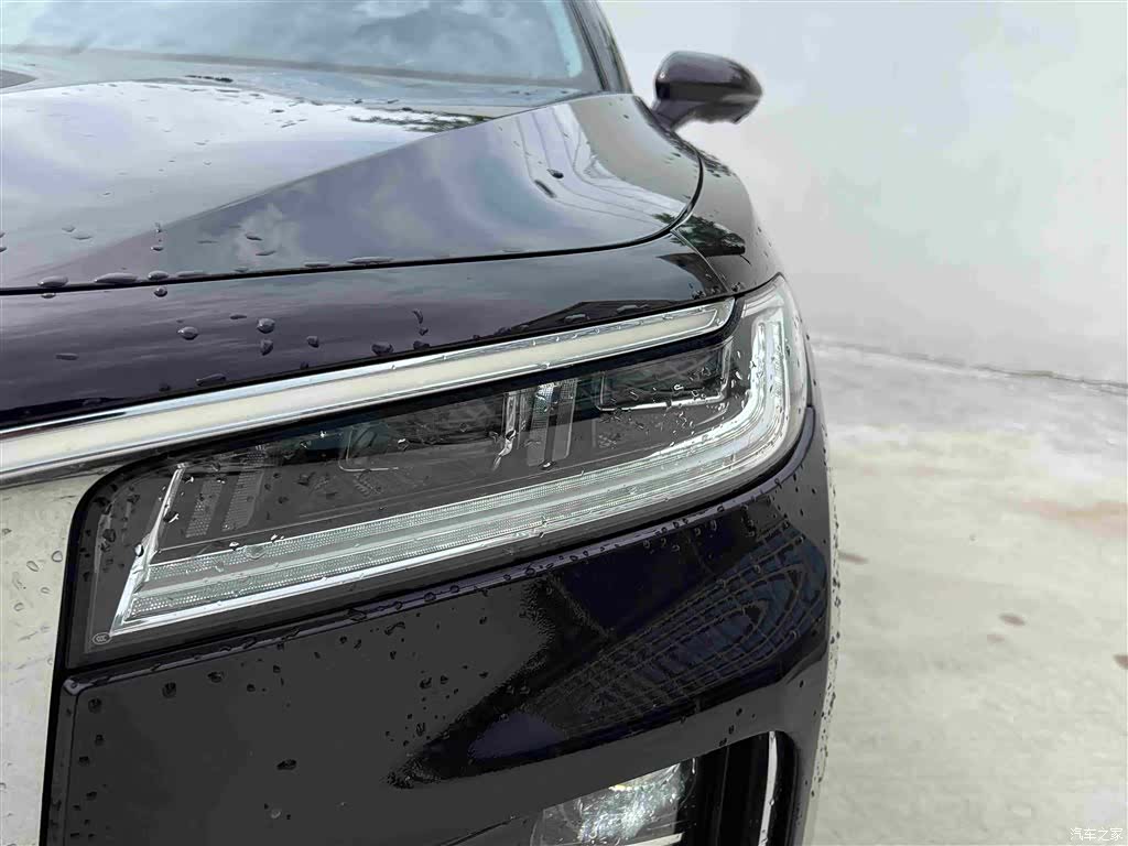 Hongqi H9, 2021 15