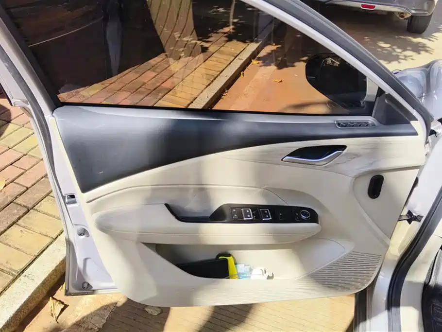 Wuling Wuling Starlight