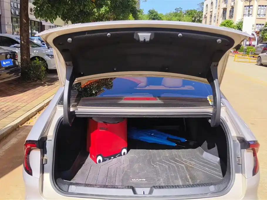 Wuling Wuling Starlight