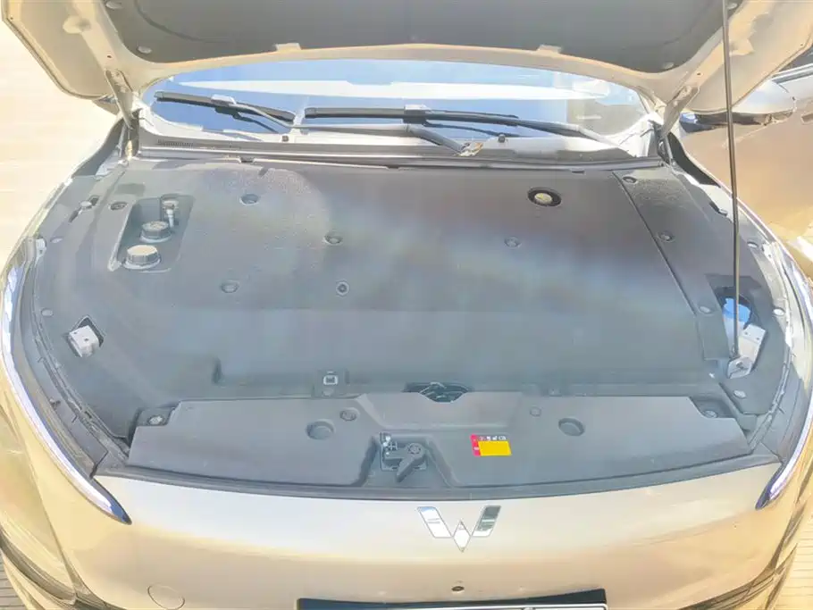 Wuling Wuling Starlight