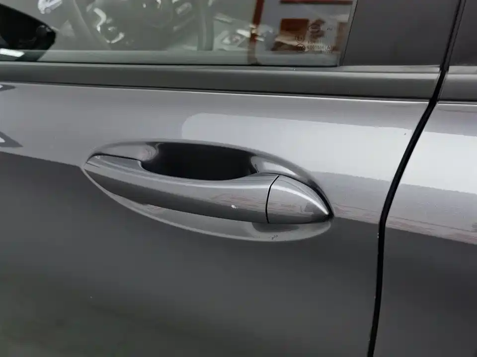 Trumpchi Shadow Leopard