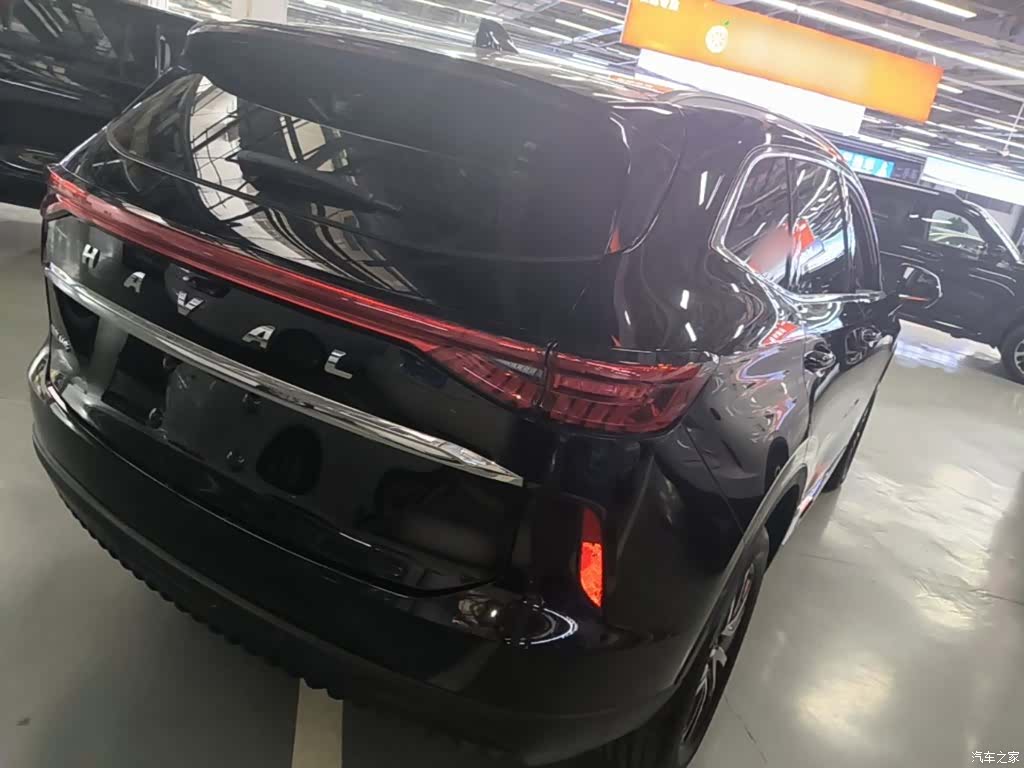 Haval H6, 2025 все фото