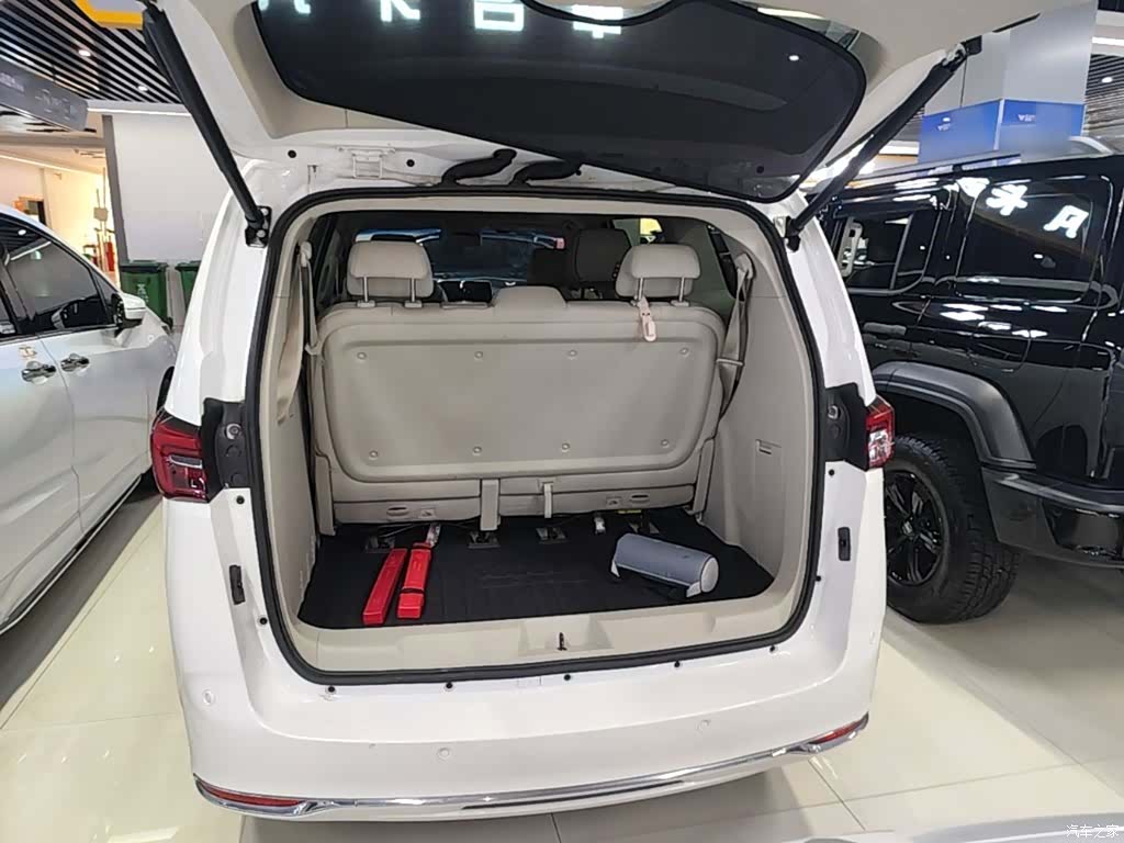 Buick GL8, 2021 19