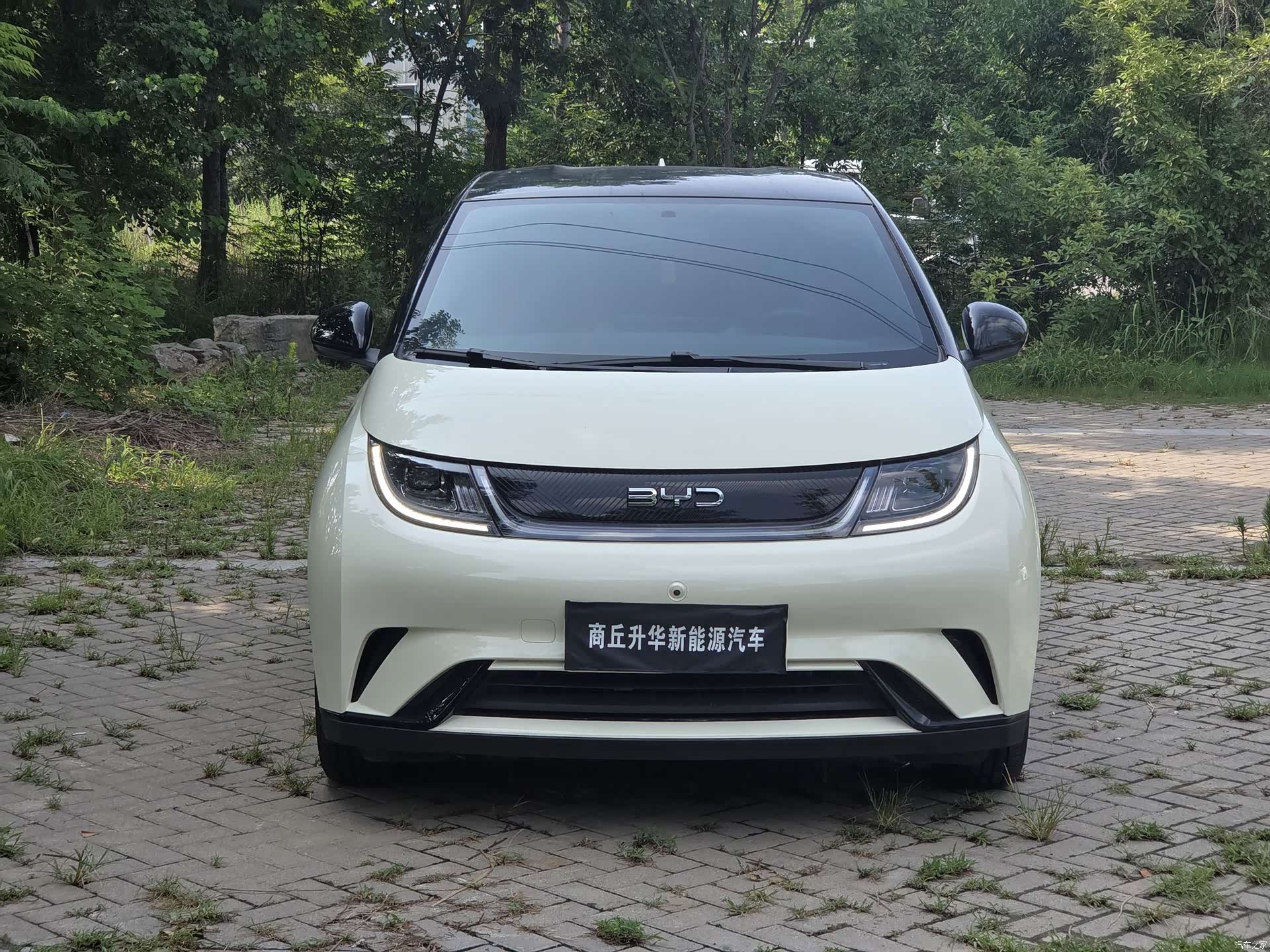 BYD Dolphin, 2025 1
