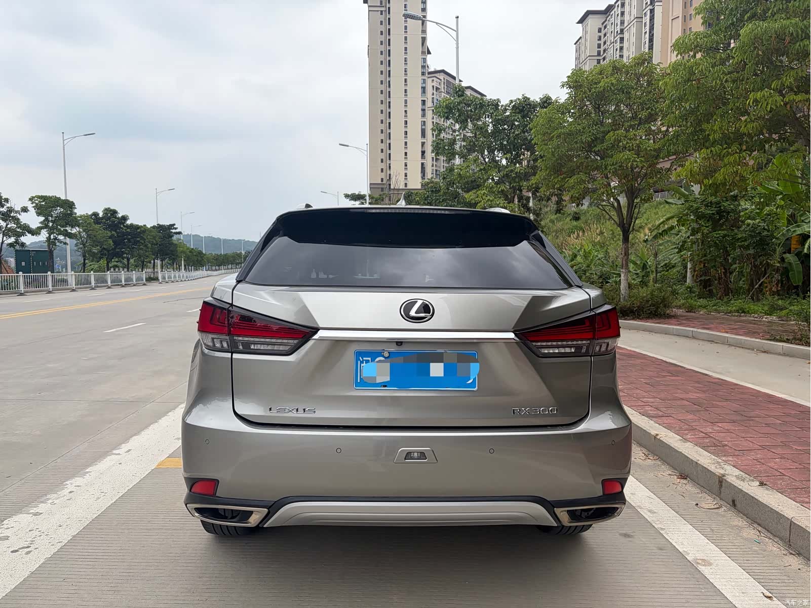 Lexus RX, 2022 11