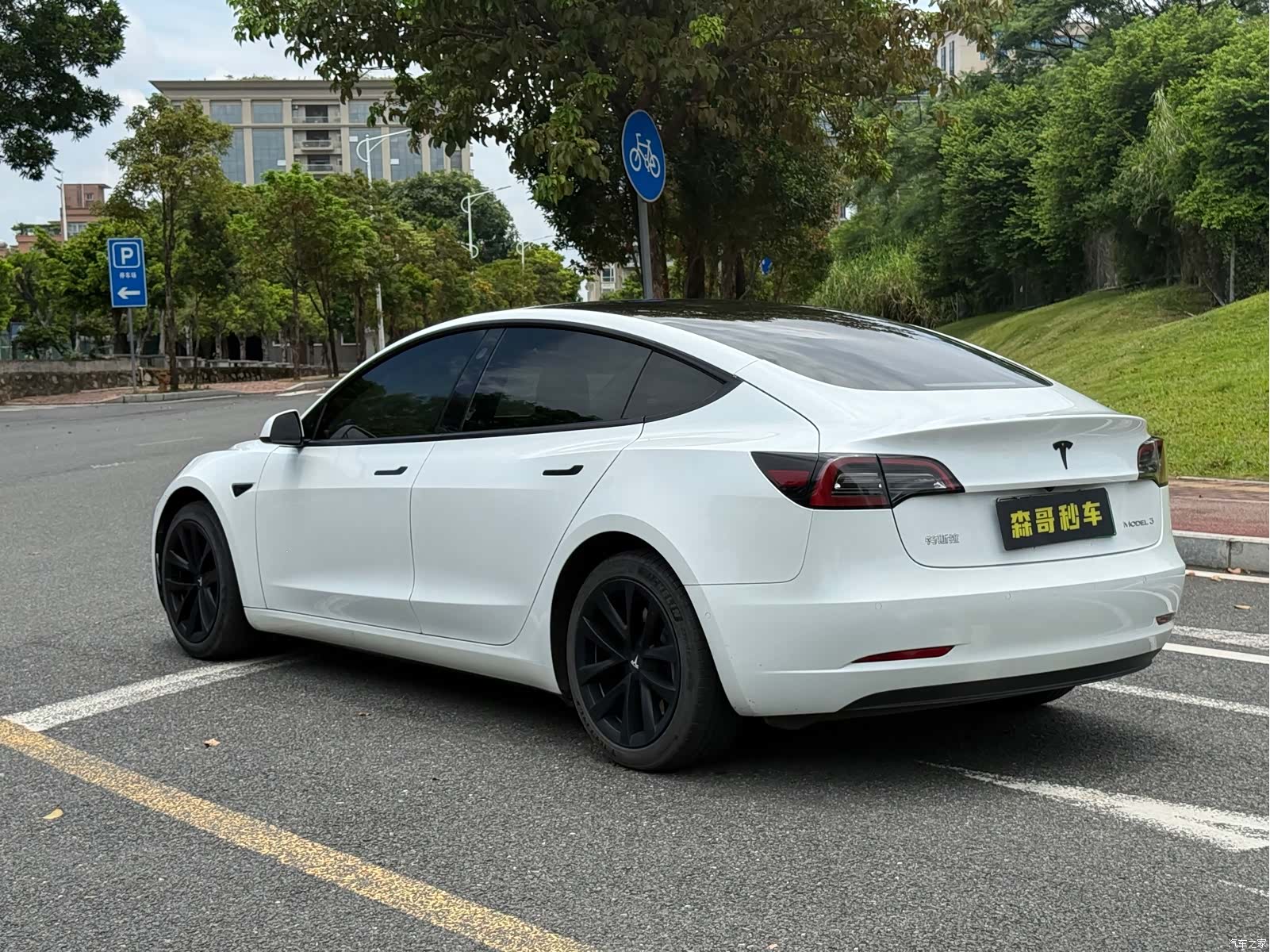 Tesla Model 3, 2021 4