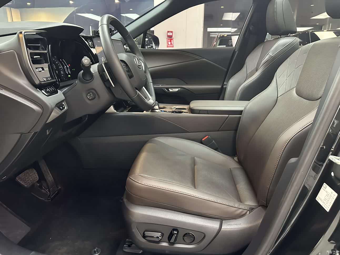 Lexus RX, 2025 9