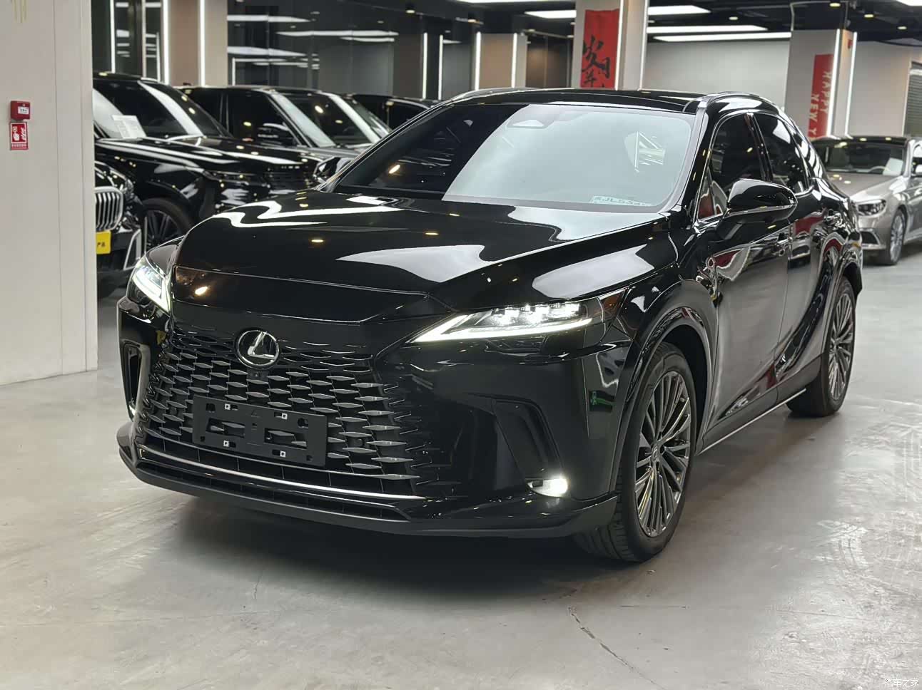 Lexus RX, 2025 1