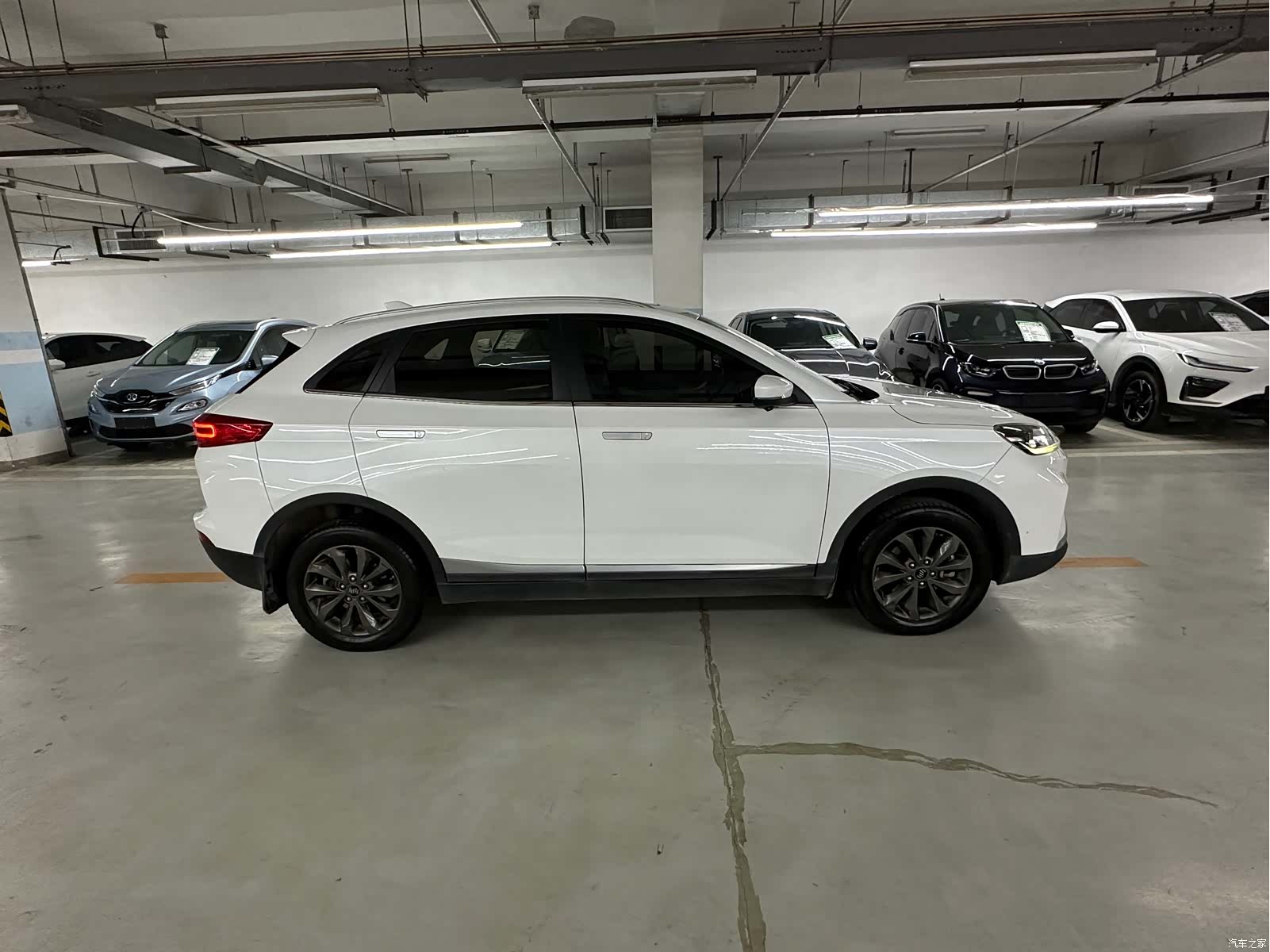 WM Motor EX5, 2019 все фото