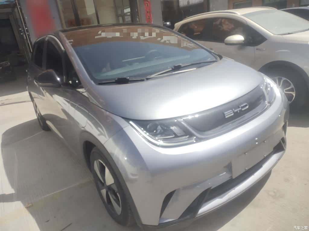 BYD Dolphin, 2023 4
