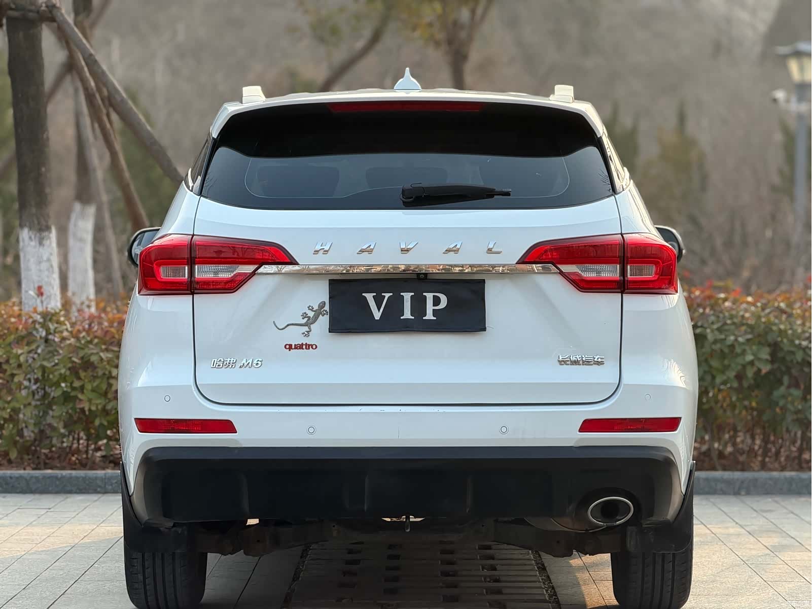Haval M6, 2019 все фото