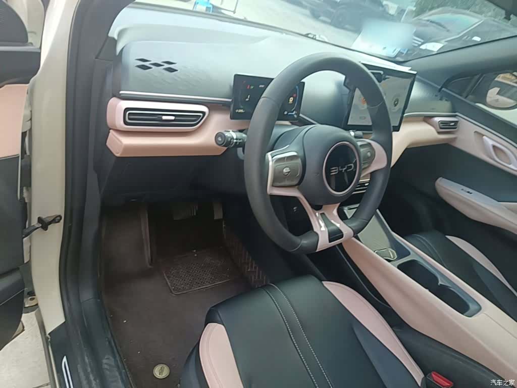 BYD Seagull, 2024 10